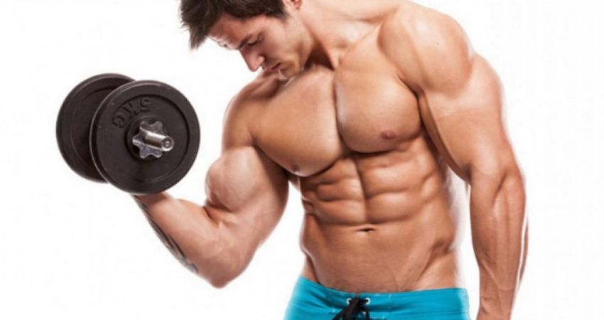 Biceps - Xplode Nutrition