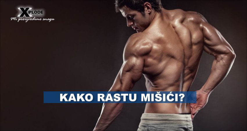 Kako rastu mišići?