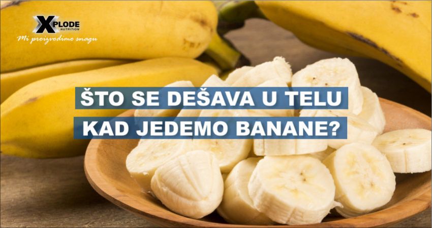 Šta se dešava u telu kad jedemo banane? - Xplode Nutrition